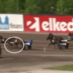 Solvalla - Det blev voldsomt dyrt 0e48e99c3ce19