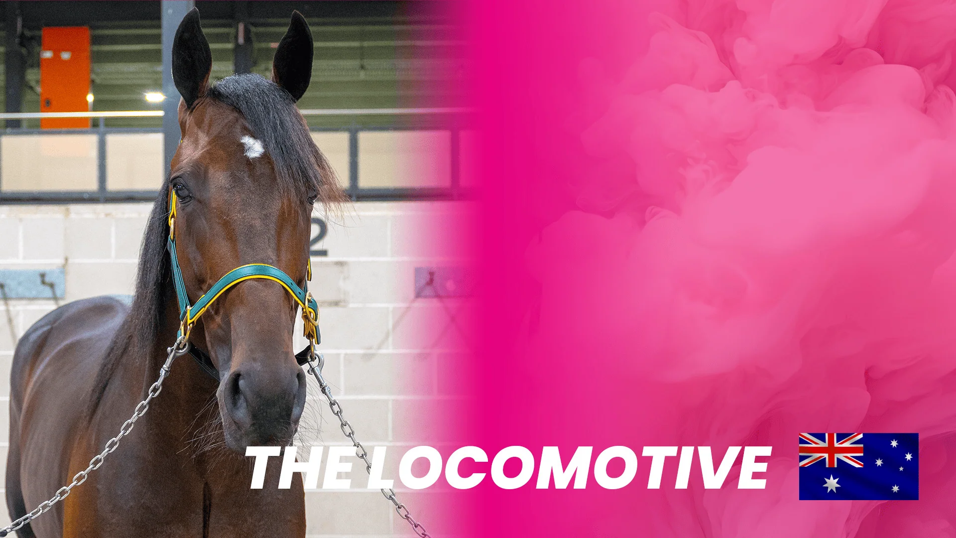 The Locomotive til Elitloppet 1.THE-LOCOMOTIVE_1920x1080