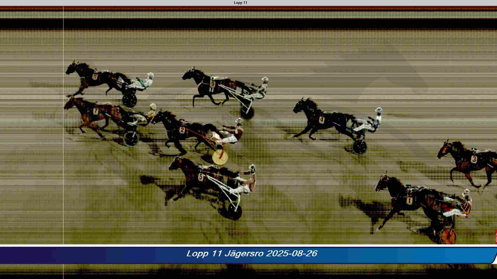 Endnu et dansk opdræt i Svensk Trav Derby 11