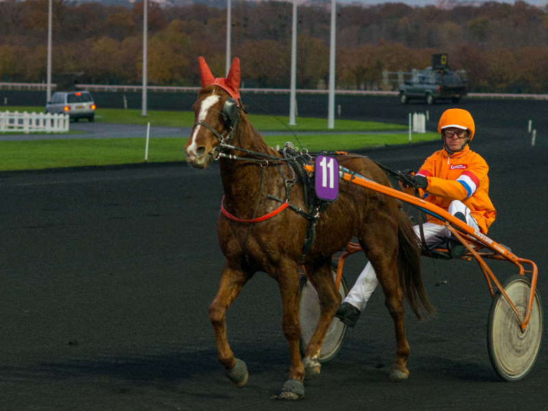 20131130 174407JLL 6740 800x600 1