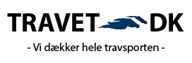 travetdk_logoh
