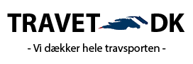 travetdk logo 1