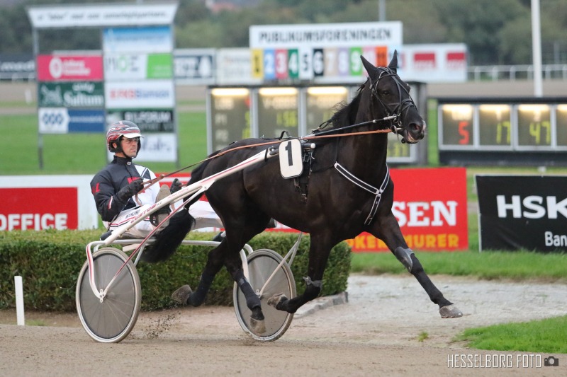 To sejre i tre sidste starter – 25 procent udbydes Encru Cloc
