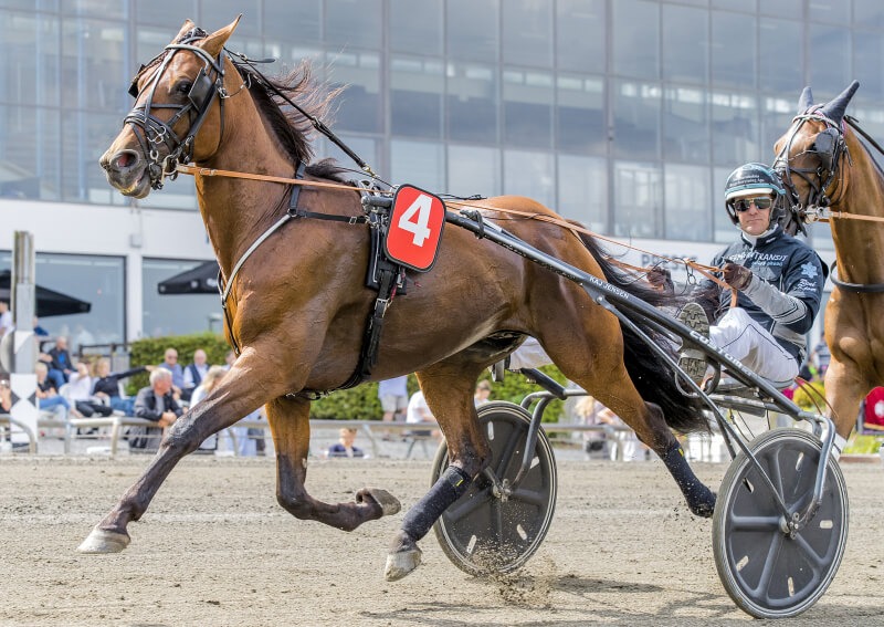 Derbytoer i comeback DONATELLO_GARBO_11I4232 (1)