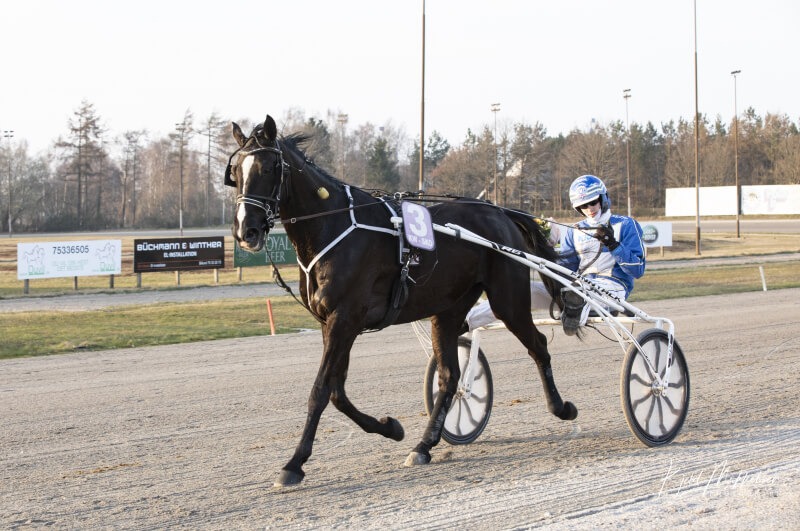 Danmarksmesterskab for jockeyer 2022 _Duncan_Greenwood_Magnus_M_Nielsen_ (1)