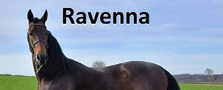 banner 17 ravenna
