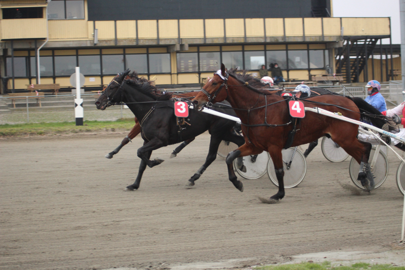 Falster - Den er formidlet her igennem! Dazzling_Diamond_201212