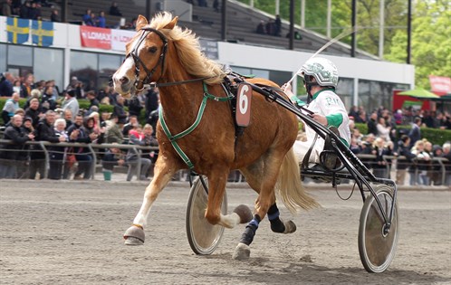 Tidligere DM-Vinder bliver eksperttipper på Travet.dk Pralinus_RH_LilleCC2015_1000px_LJ_498x315