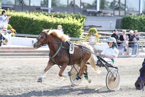 Andelsspil - DM-Vinder sammensætter forslaget Rasmus-Theis-Henriksen_500x333
