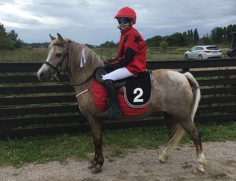 pony