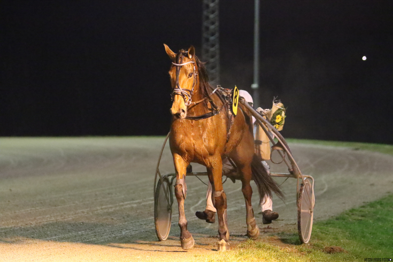 Aalborg - Flemming Jensen blev topscorer 3M1A1613