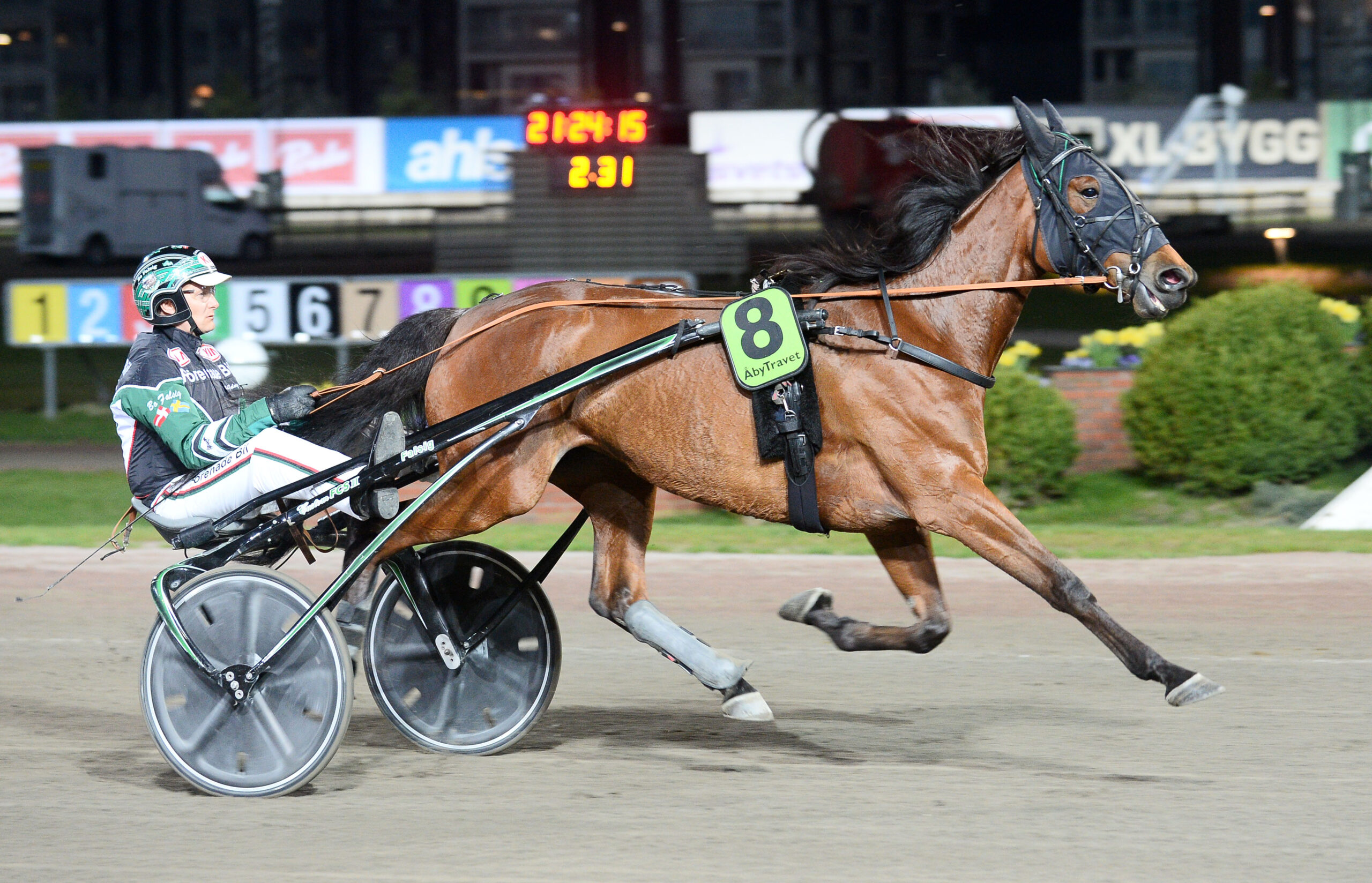 Apppaloosa heat 155 scaled