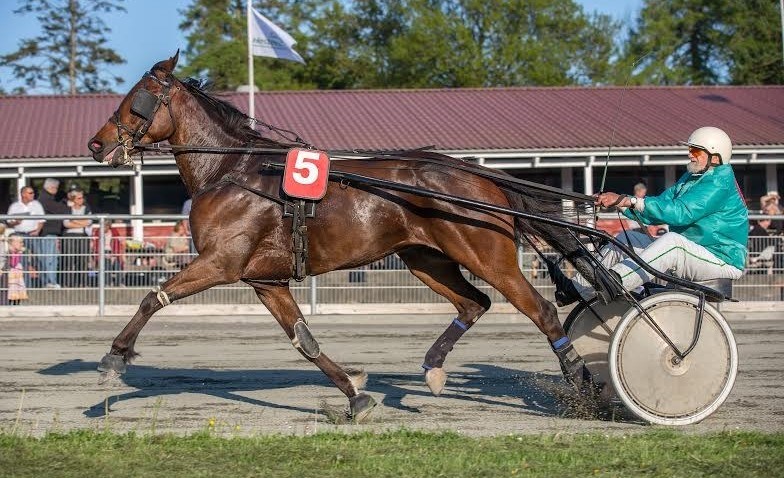 Først trav og så 90 års fødselsdag leorasmussen-1-1-784x478