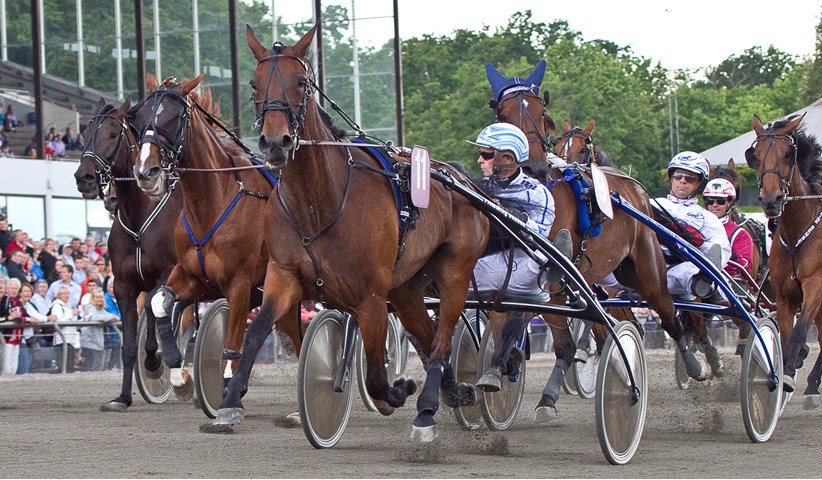 Husker du - Mathilde Trøjborg mathilde_troejborg_89f2667