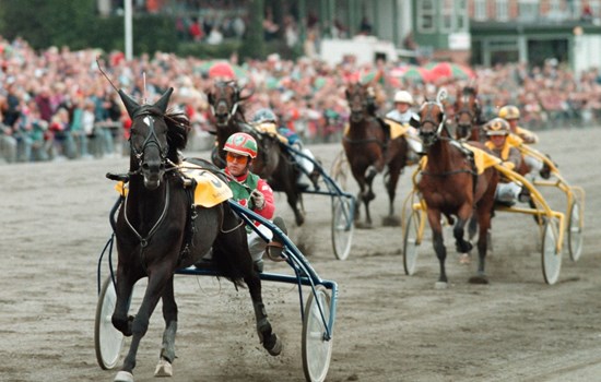 rudolf-le-ann-1993
