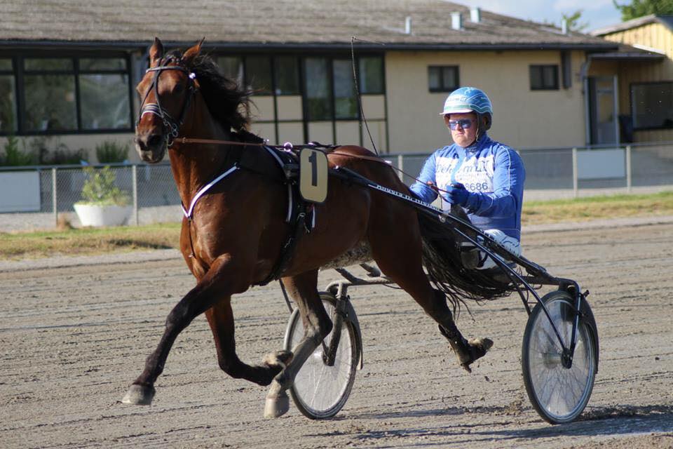 Anders Helge 3