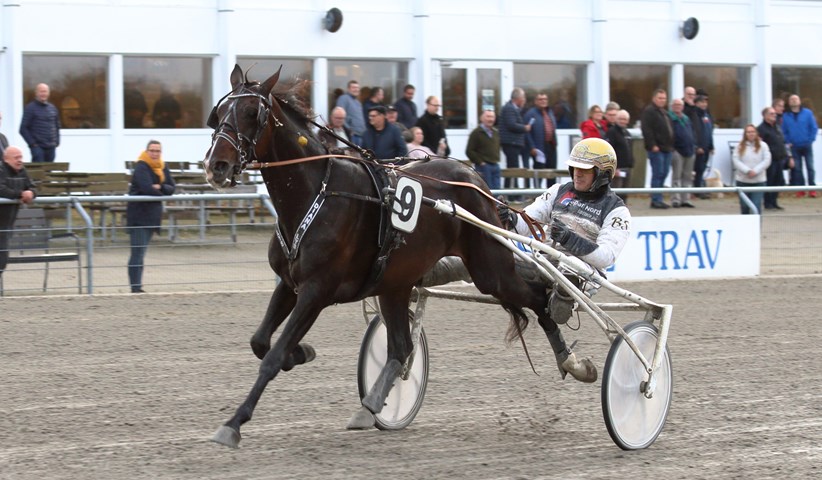 Derbyfinalist trænerskiftet ELEGANT_C_N_251019