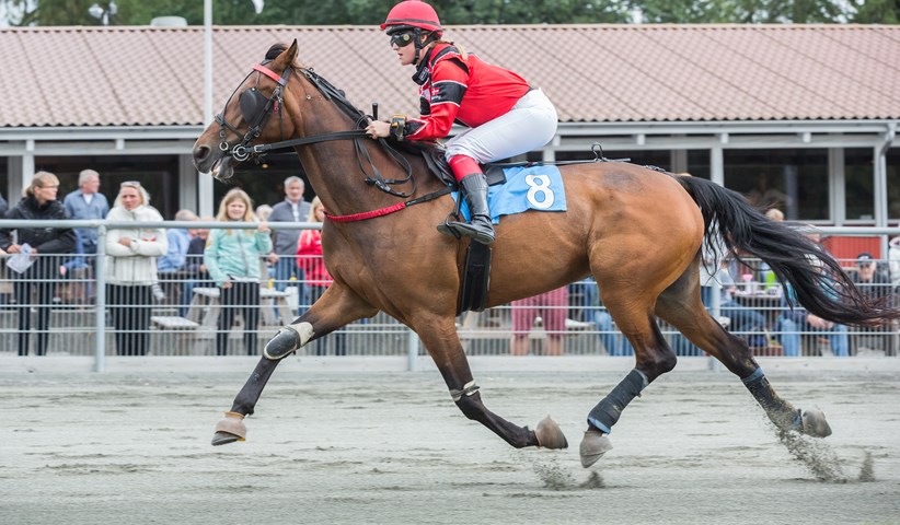 suset bork med nocole marsing 17 september 2016 tka 9098