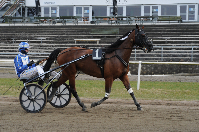 Brødrene tog godt for sig – Sejrede bag tidligere salgshest DSC_2800