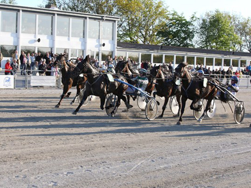 Baneprogram til Musketerdagen skive