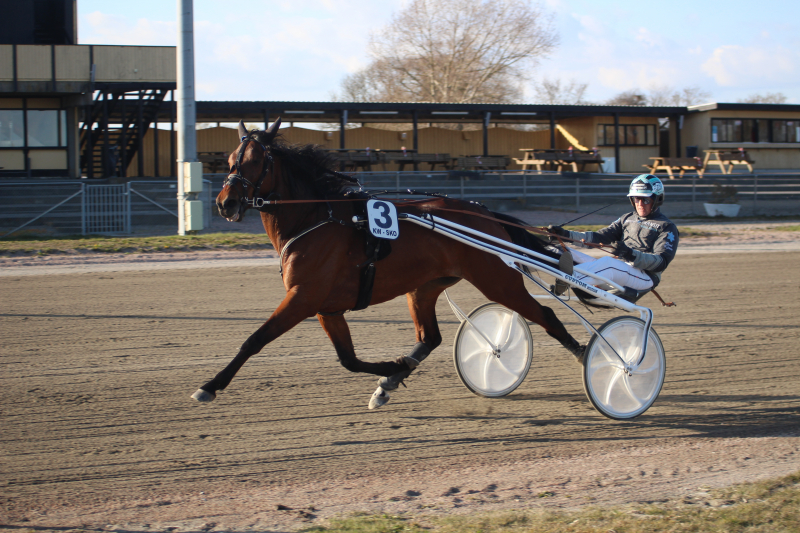 Fernando N L 210422