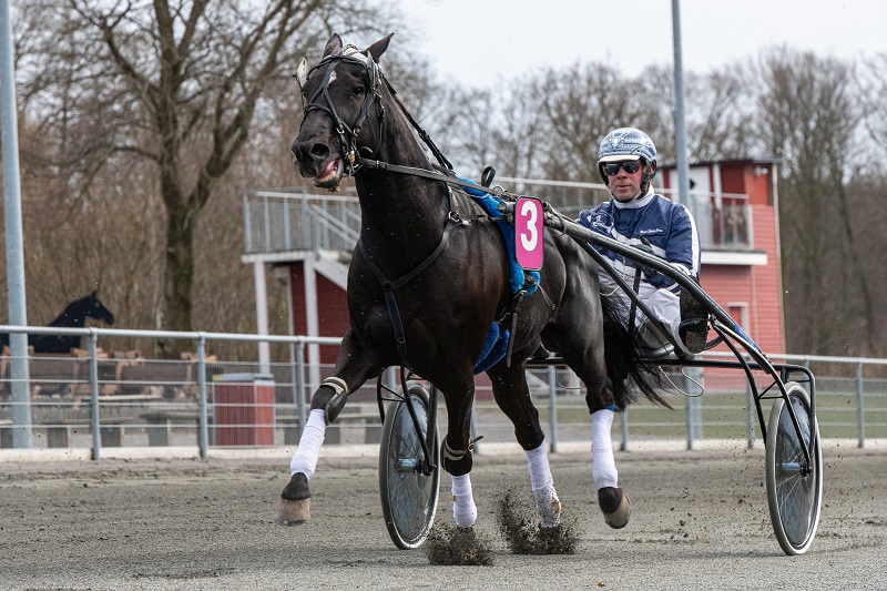 Woody Hoyt med Martin Sjoeholm Jensen 17 april 2021 Fotograf Torben Ager Travfoto Bornholm TKA 8144