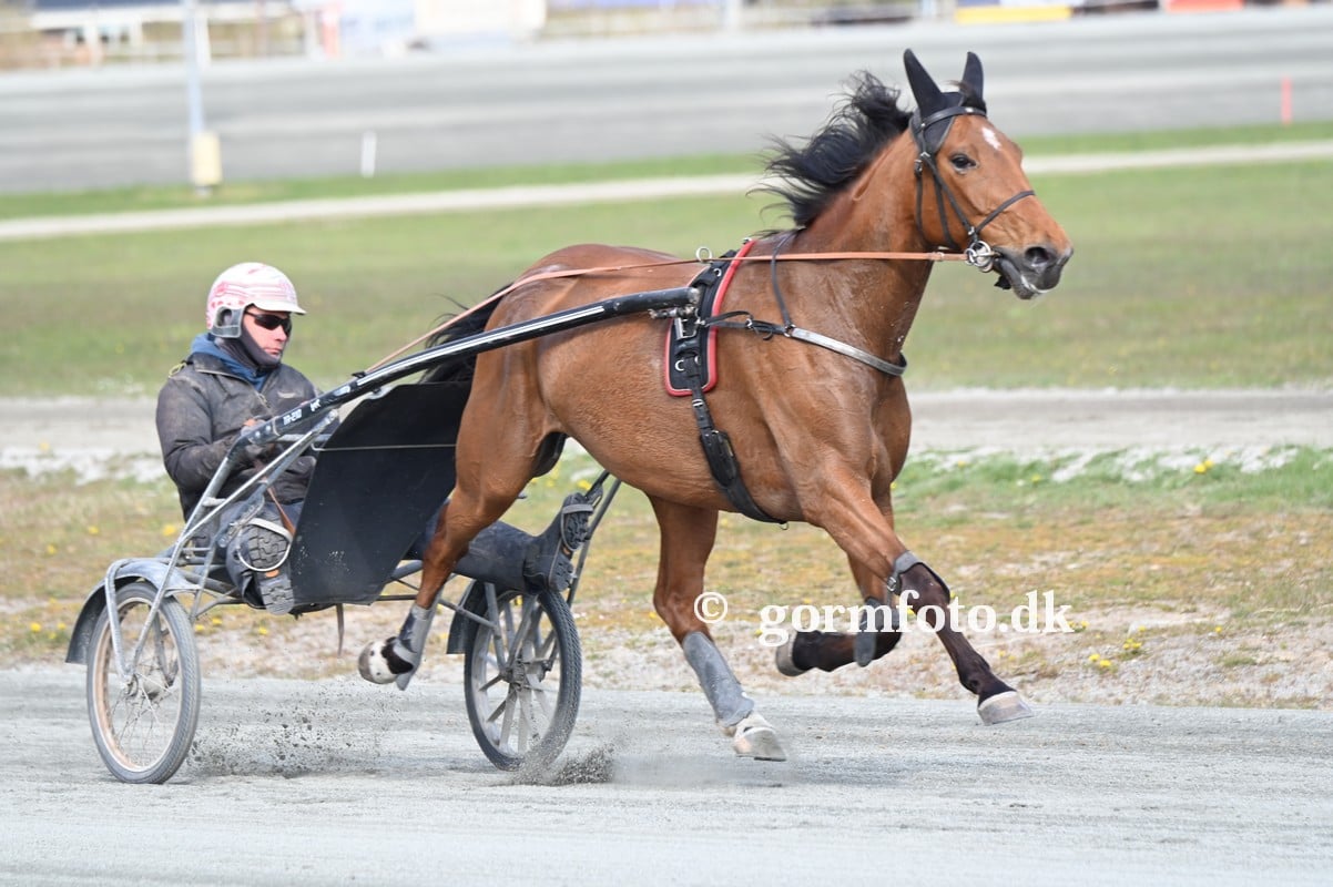 Andelsspils til Fyn - Vi er klar 181653879_1938411576334163_6448600430199637672_n