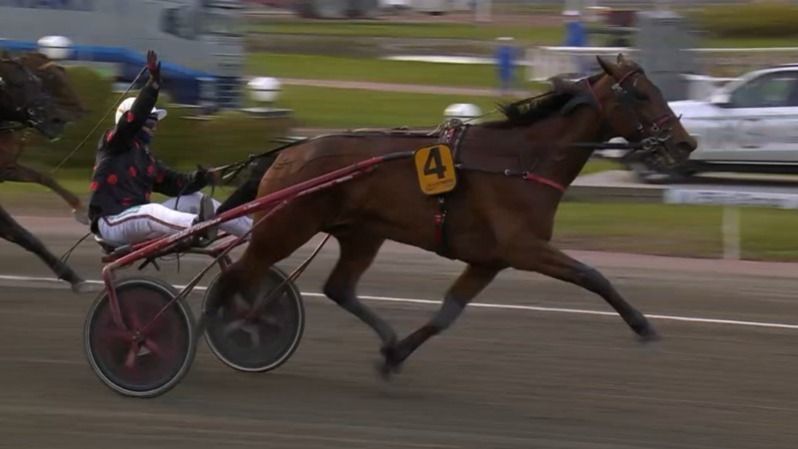 Paralympiatravet til Delia du Pommereux 57da260825fa8