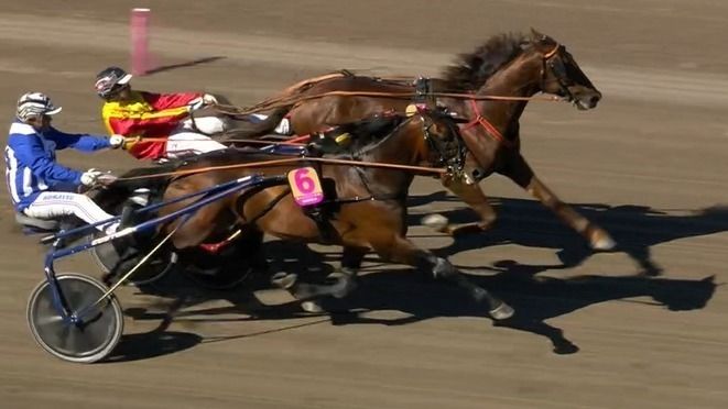 Elitloppet – Forsøg 2 til Gelati Cut 64d0d1d1e8031