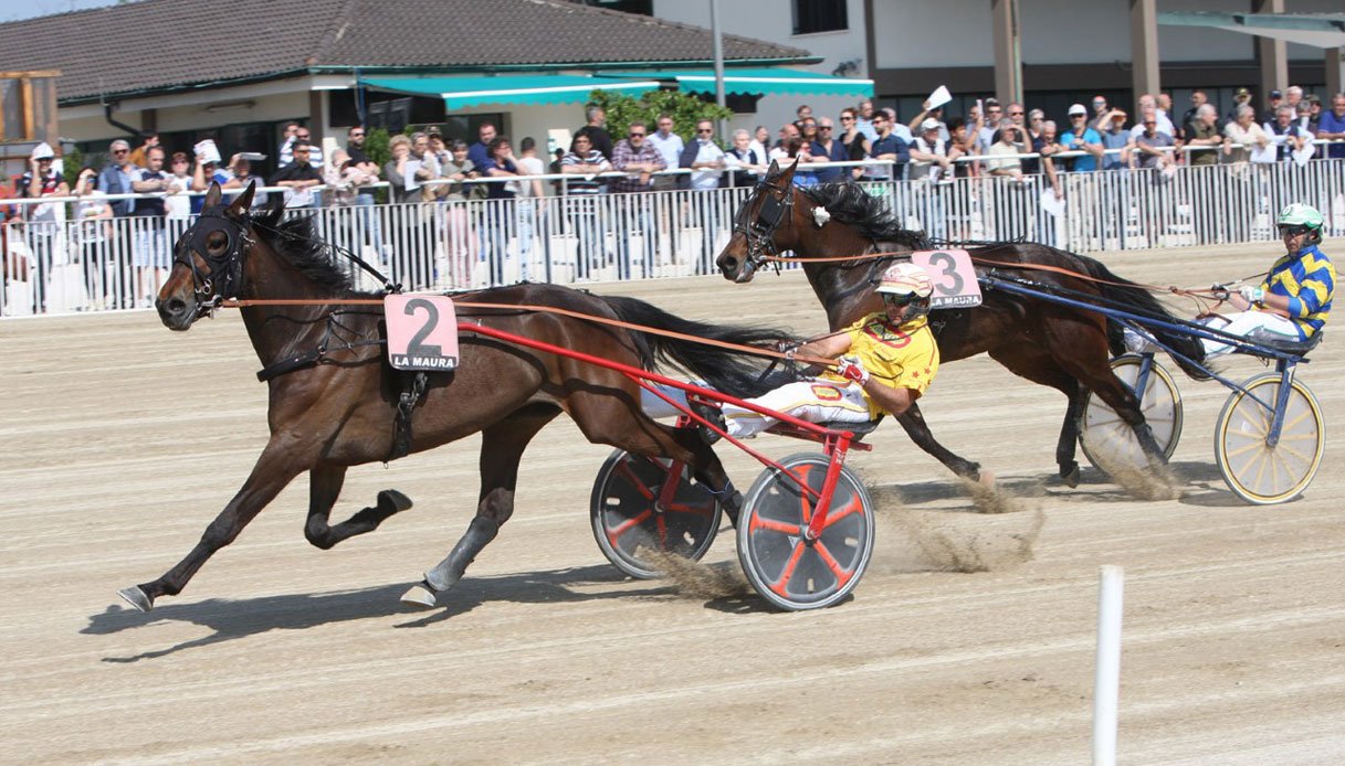 Copenhagen Cup – Zaccaria Bar Db569lhUwAAAq9m