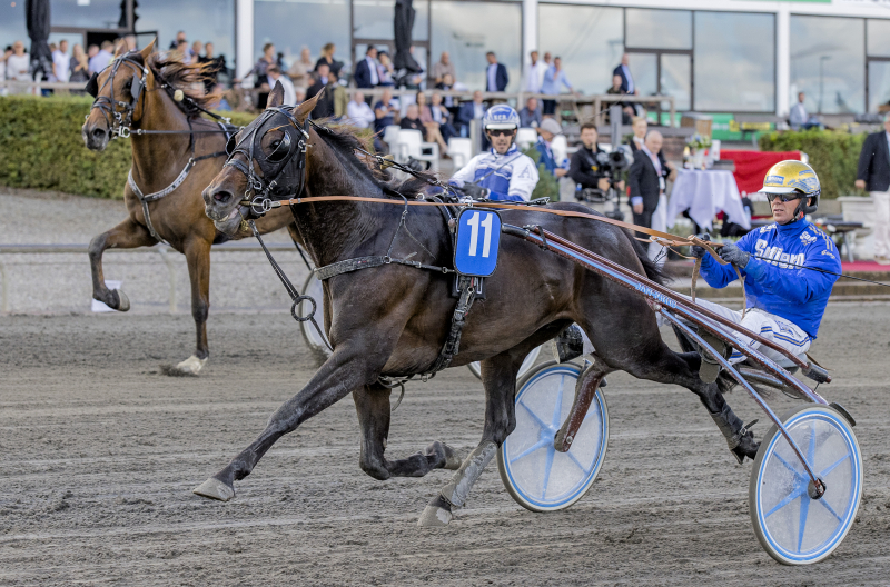 Sejr i hver fjerde start - Udbydes til salg EPIC_BS_5979