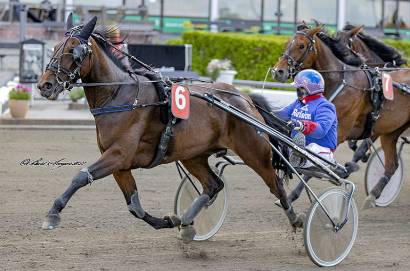 Flot arbejde af Bjarke Haagensen omkring auktionshest GURLI_D2I8994