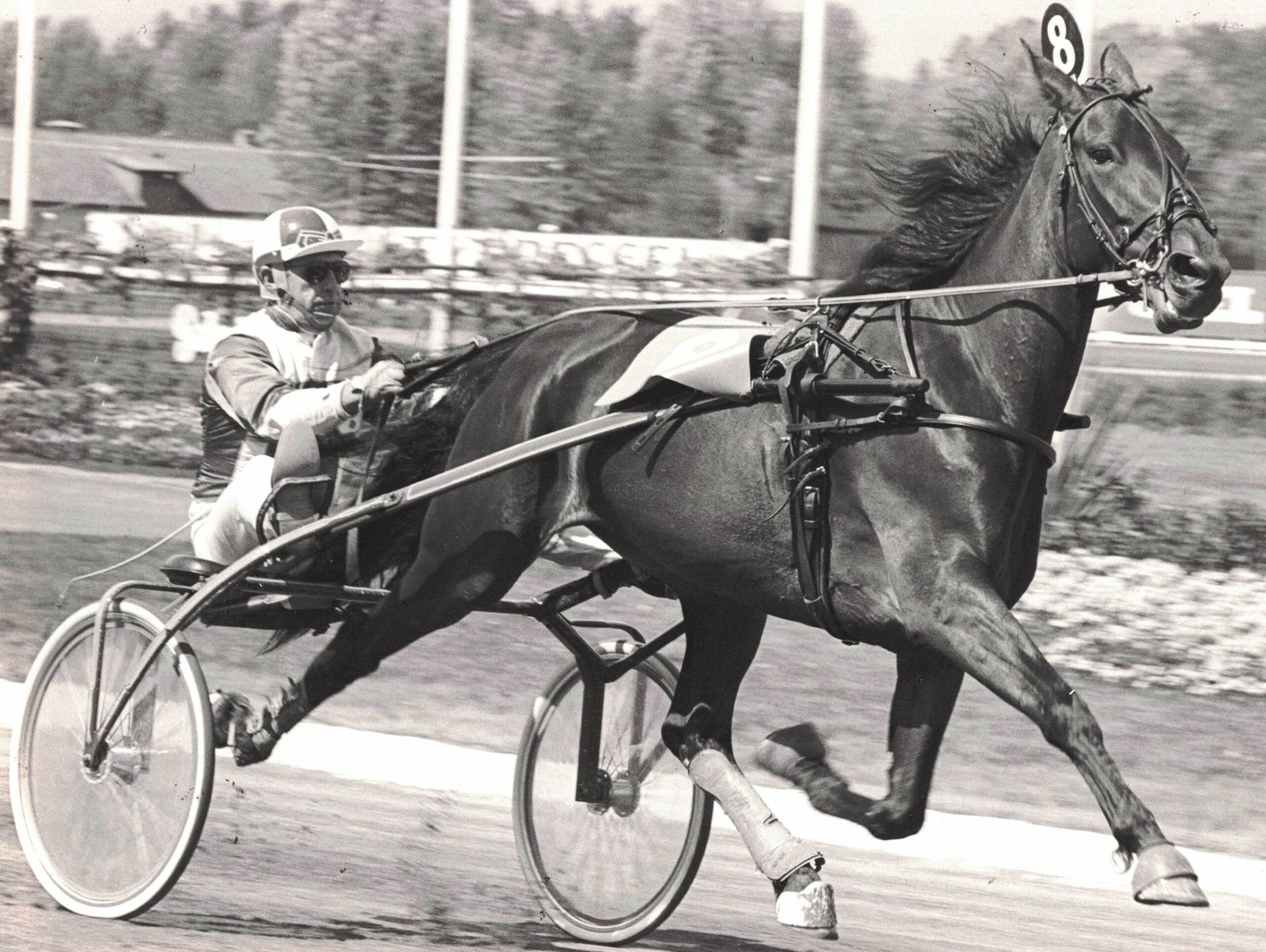 KEYSTONE PIONEER BILLY HAUGHTON FOTO BURT SEEGER scaled