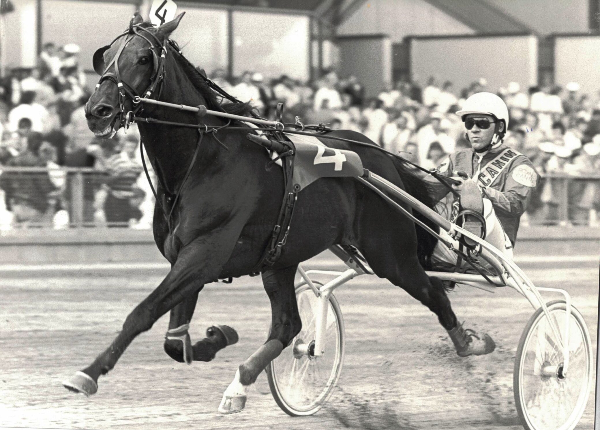 Meadow Roland indvalgt i Hall of Fame Meadow Roland PREBEN KJÆRSGAARD VINDER CC 3 GANGE FOTO BURT SEEGER