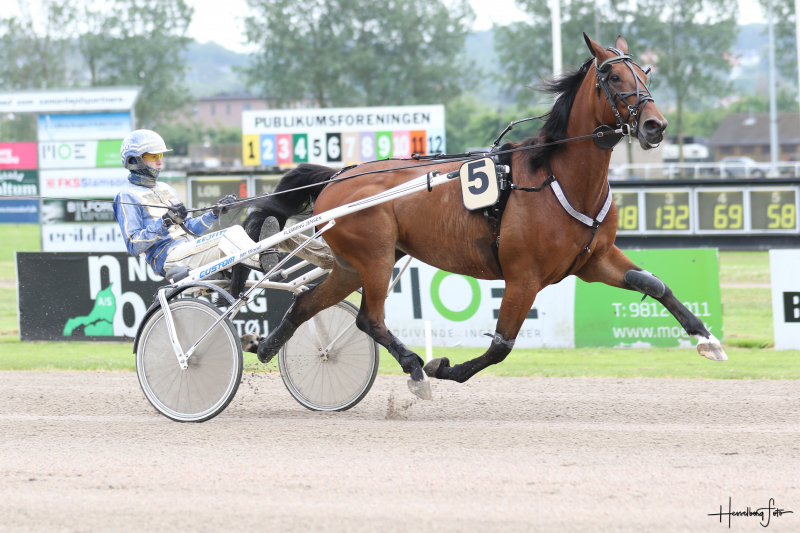 Sidste udkald i budrunden 3M1A6031