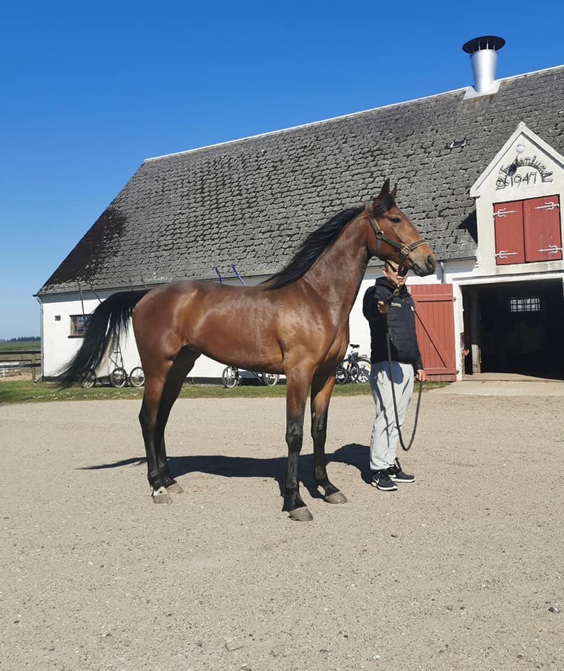 Linda Persson - Gør første start efter salg for os 92307773_3138731626157773_4251627944952201216_n
