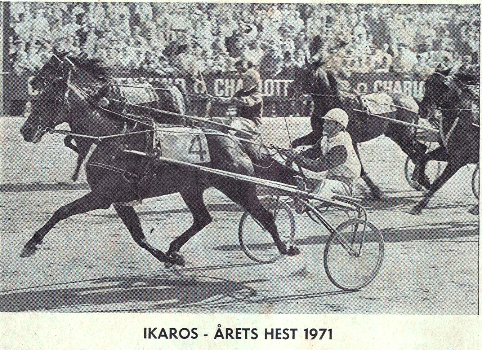 En værdig danmarksmester for 50 år siden – Jørgen Larsen med Ikaros Ikaros og Jørgen Larsen