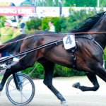Annoncenyt - Tilbudspris på Lavec Kronos
