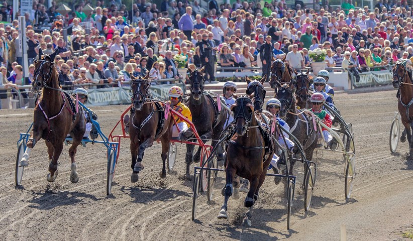 Copenhagen Cup – Giver ingen adgang copenhagen-cup-2013