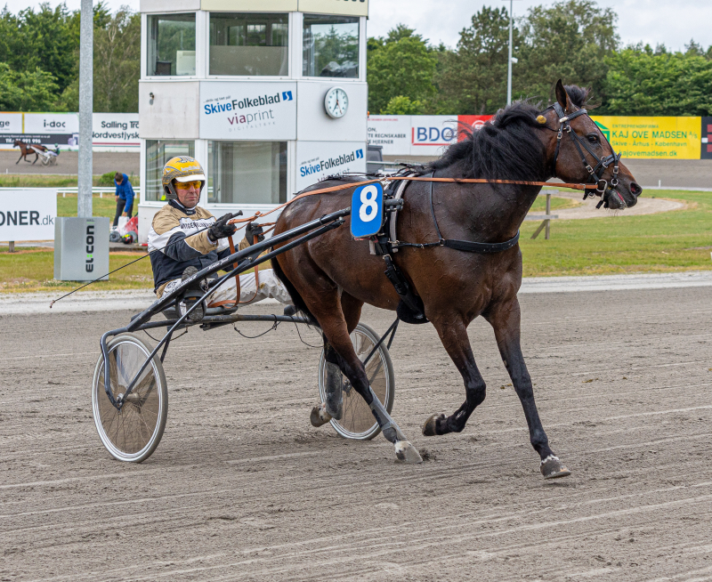 market sund 4