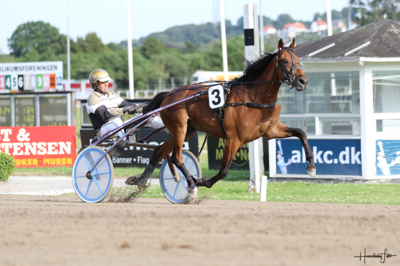 Fin debutvinder fra Jan Friis Fin debutvinder fra Jan Friis
