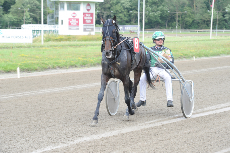 Auktion - Har i besøgt auktionssiden Gateway Damgård