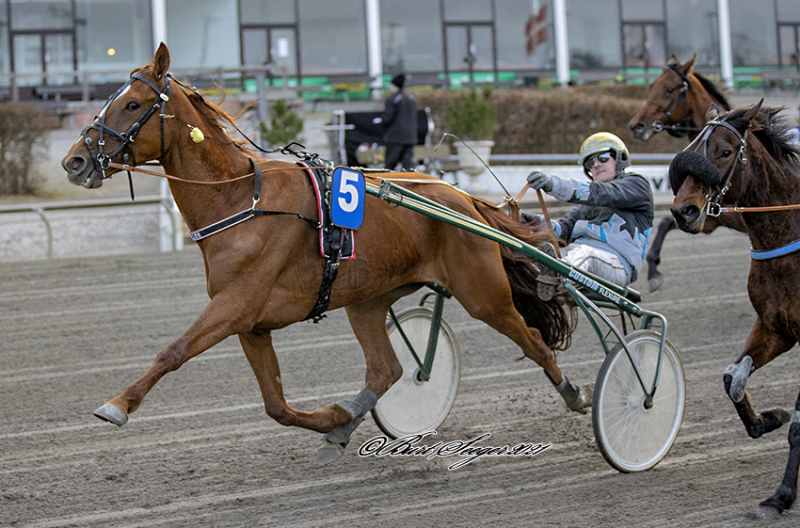 ELLEN_D2I3136_1