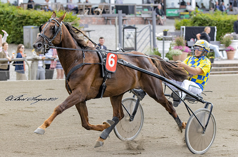 Flot arbejde af Flemming Ankerdal FAMOUS_DREAM_D2I1034