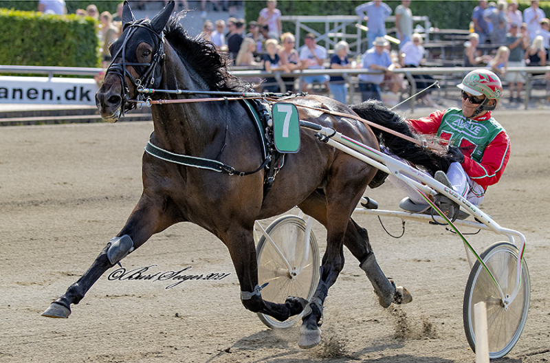 Danmarksmesteren i 5-års løb FESTIVAL_OF_SPEED_S2_1566