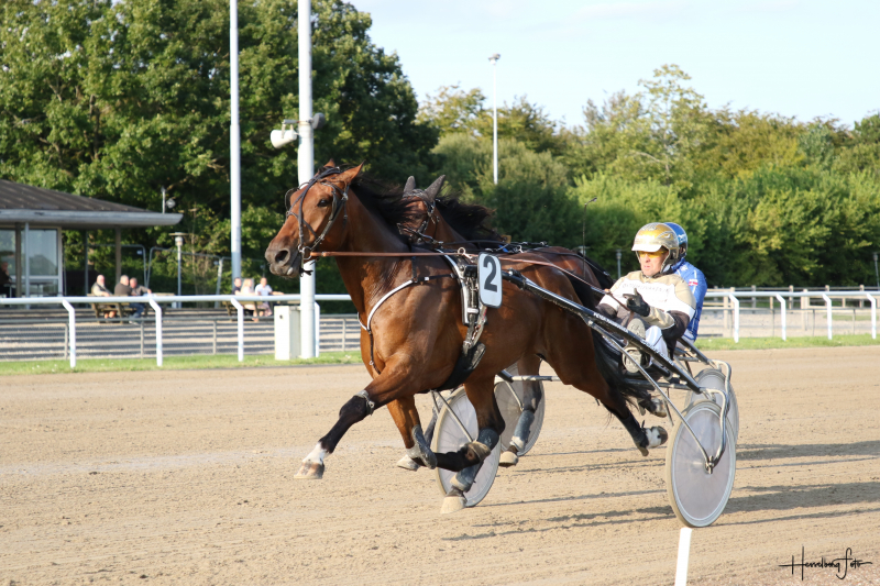 Fin sport i Aalborg 3M1A8406