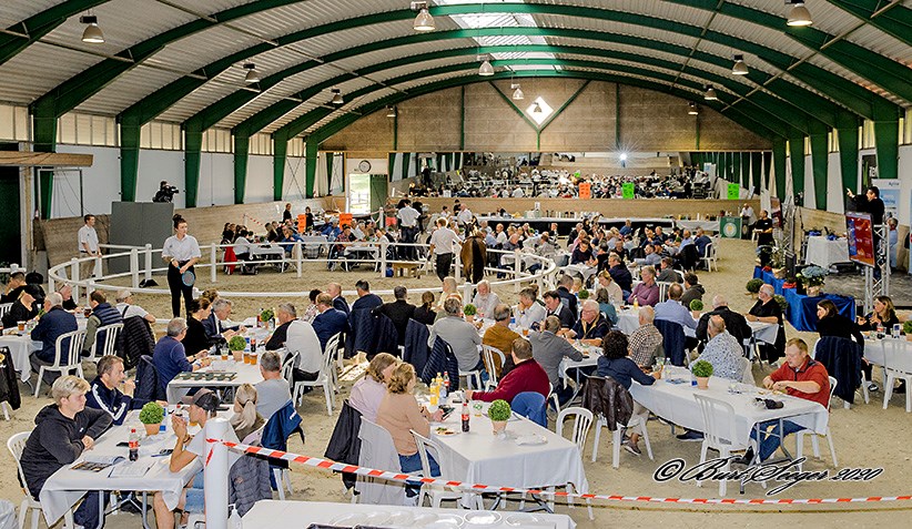 Resultater fra Derbyauktionen Dinner Sale DTCs-Derbyauktion-2020
