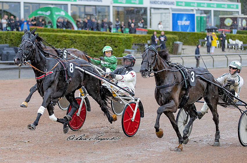 6. løb: Årets fjerde til Encru Cloc Trav Charlottenlund