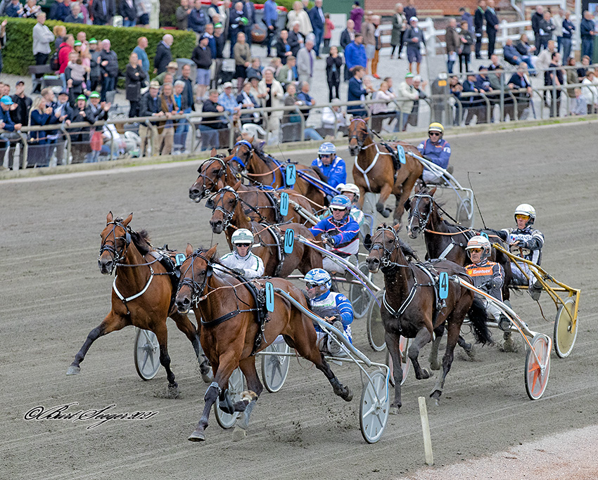 Indland - Forhøjede præmier i de danske V65-løb Trav Charlottenlund