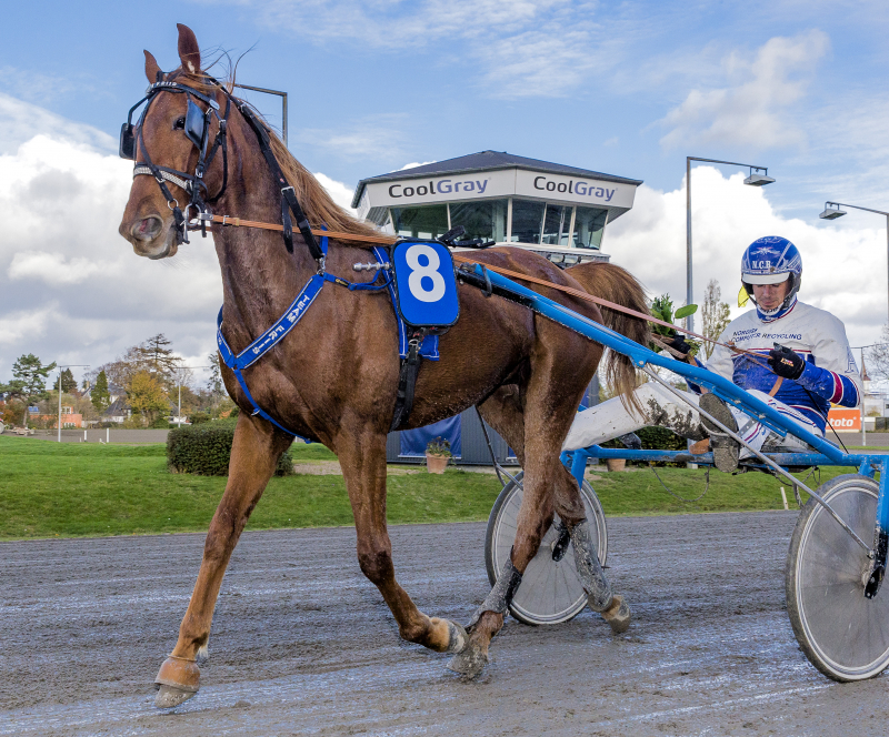 Deltagere i Derby 2021 med dansk moderlinje FERRARI_BORK_MGL0960